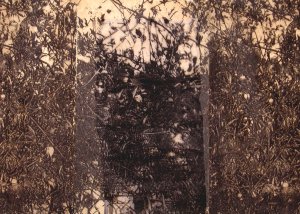 'Thicket' (Detail)