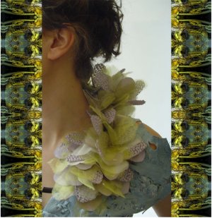 'Ambiguous Beauty'